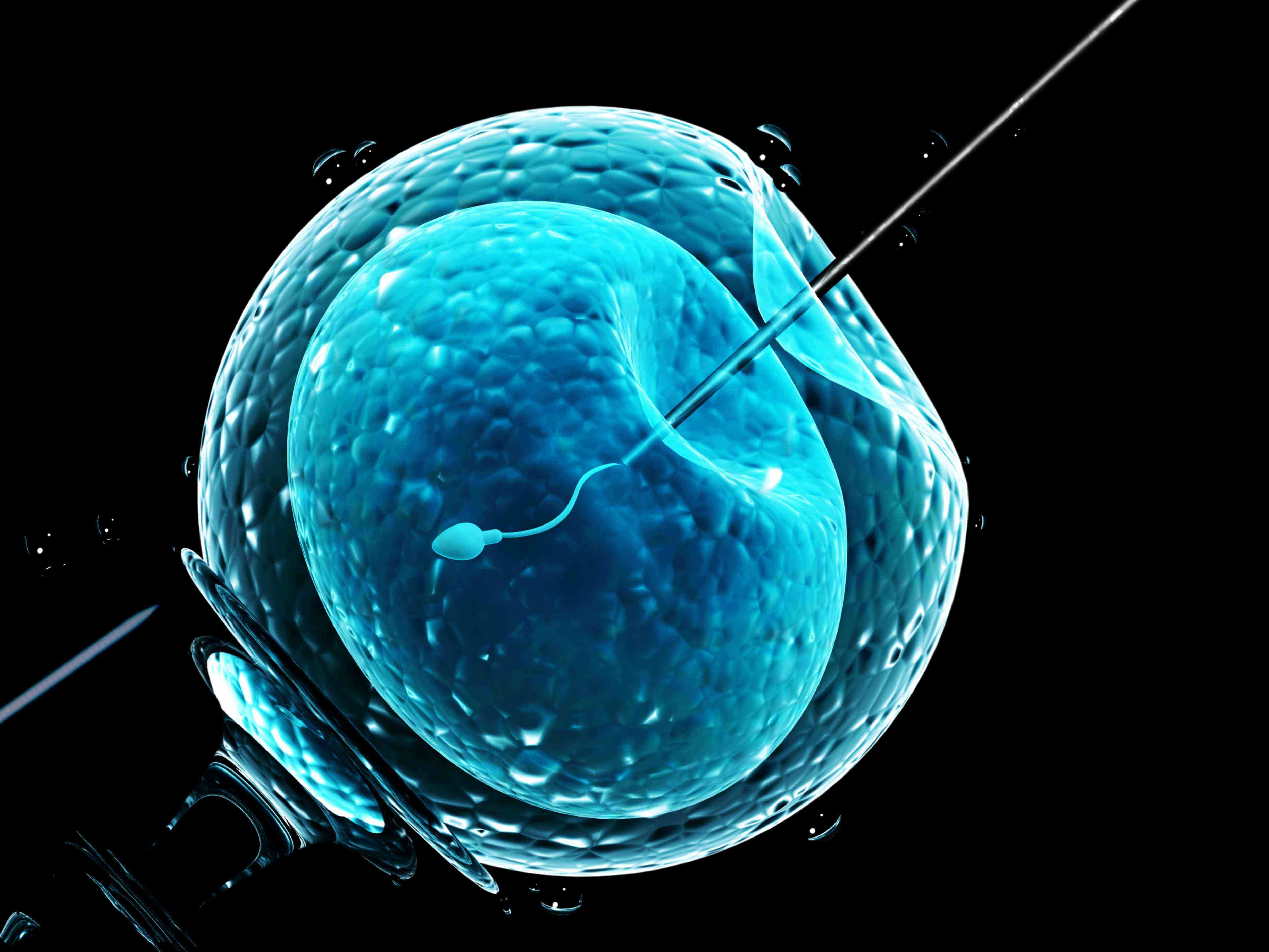 老婆怀孕老公硬生生把孩子打掉 老婆怀孕老公硬生生把孩子打掉BD高清